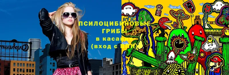 купить  цена  ОМГ ОМГ ссылки  Галлюциногенные грибы Psilocybine cubensis  Краснозаводск 